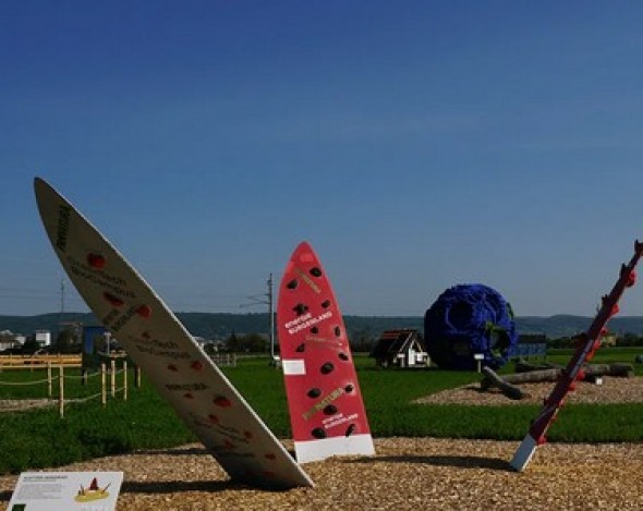 Programm Betriebsausflug und Grillen
